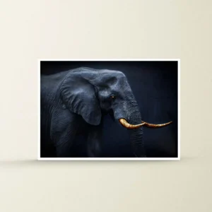 Abstract painting of an elephant with a dark background.