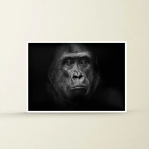 Black and white abstract art of a gorilla.