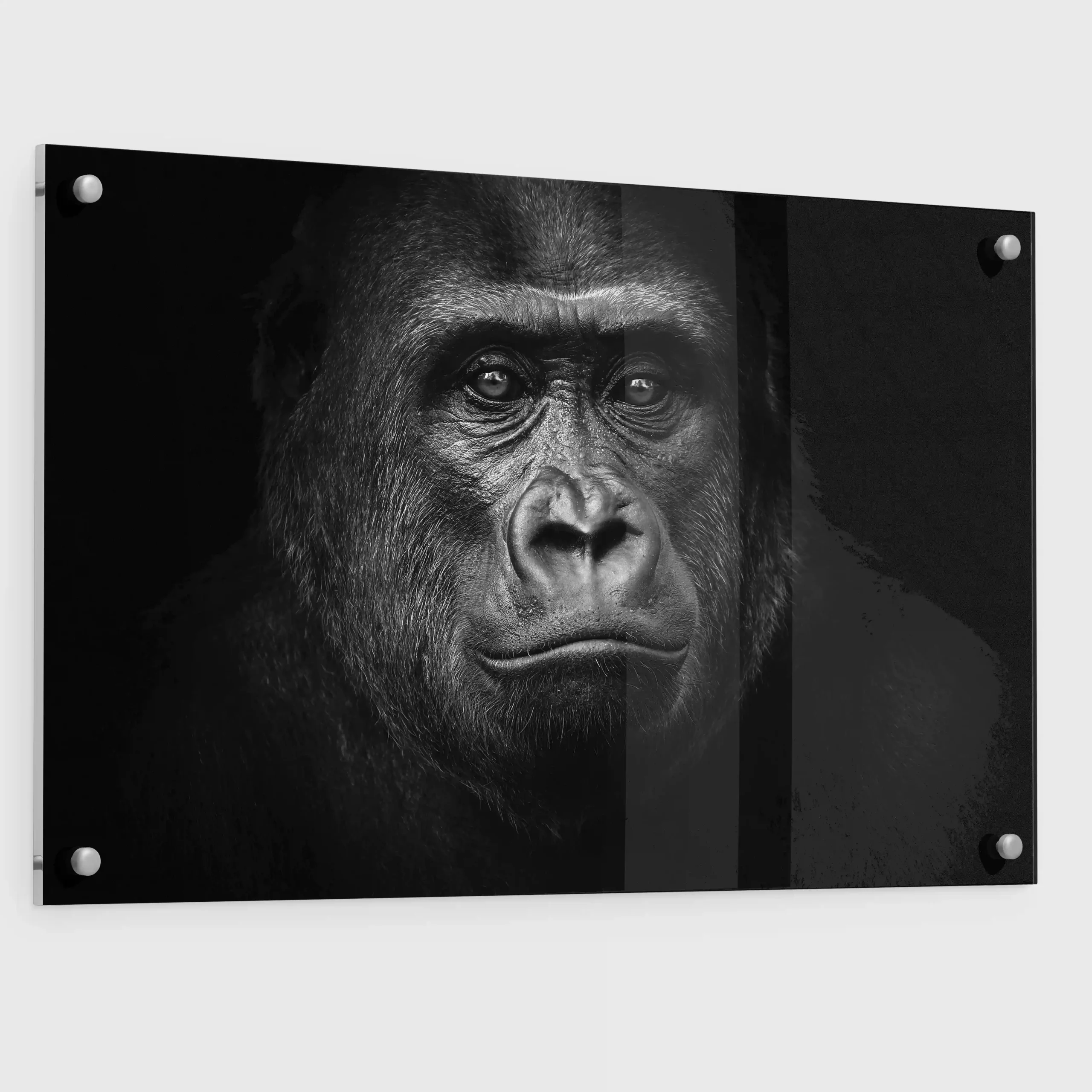 Black and white abstract art of a gorilla.