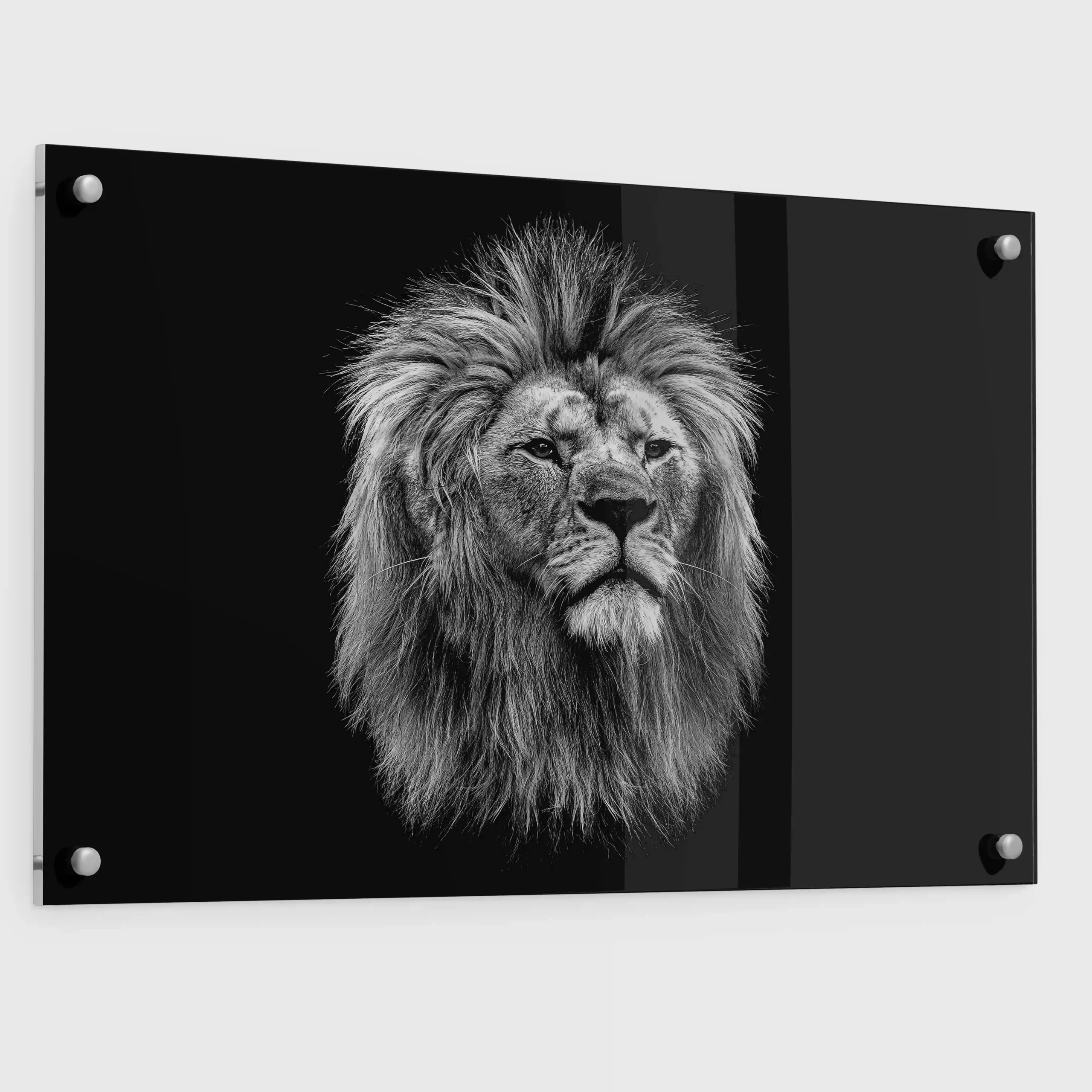 Black and white abstract art of a lion.