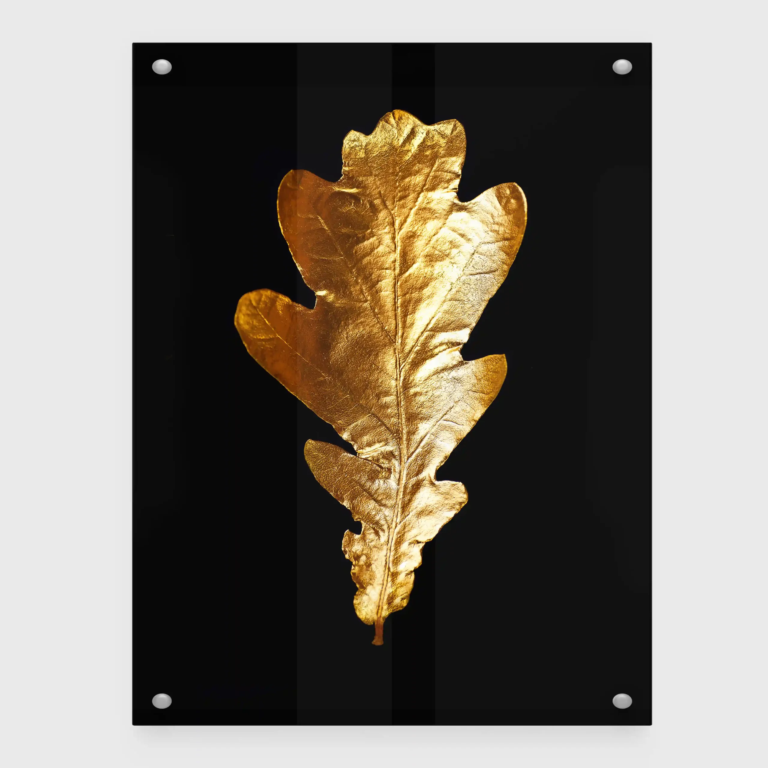 Abstract image of gold leaves on a black background.