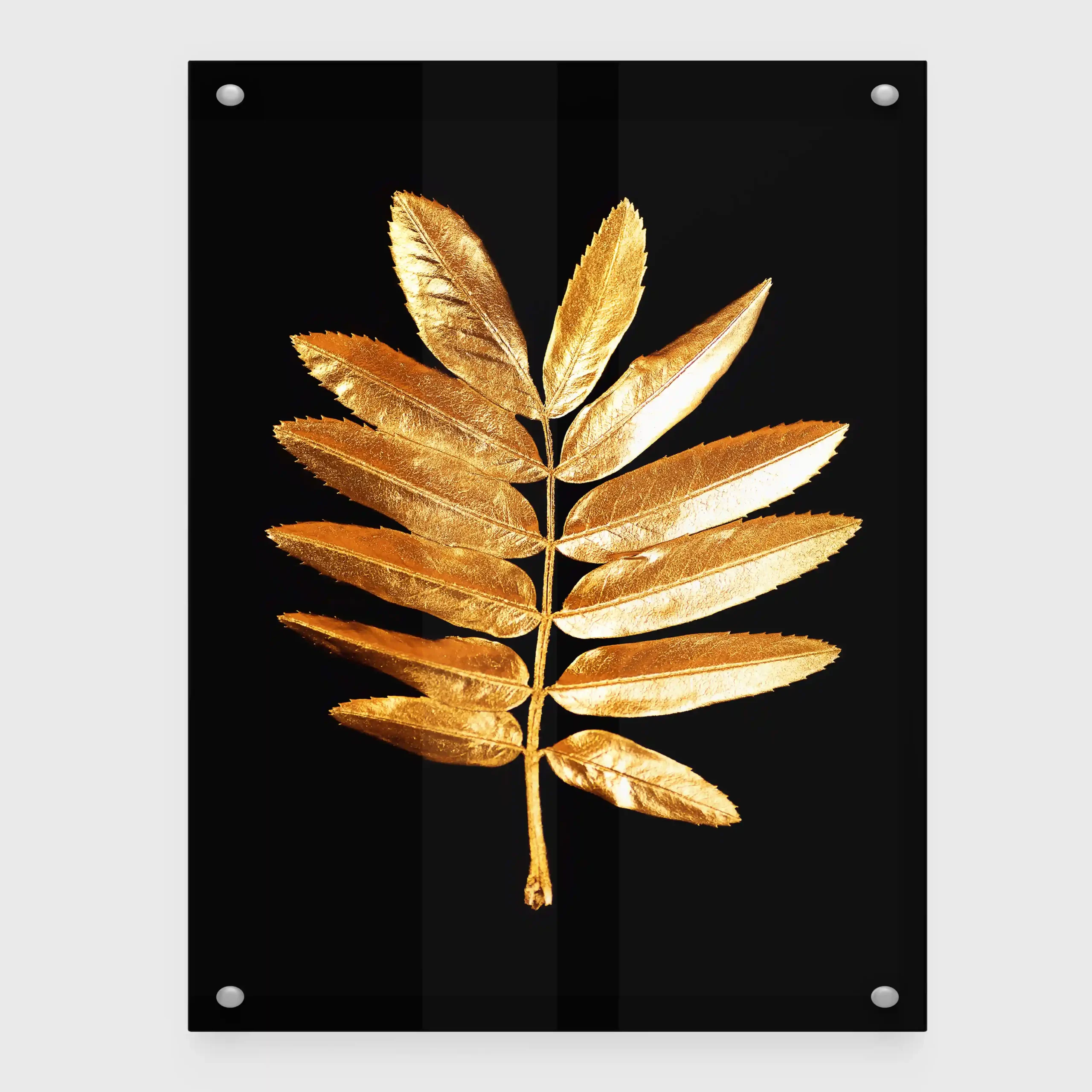 Abstract image of a gold fern leaf on a black background.